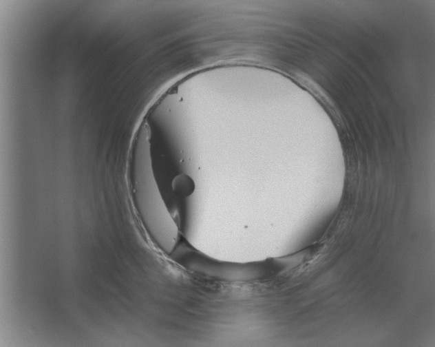 X0000062170956200512301642