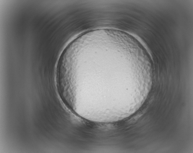 X0000062170957200512301642