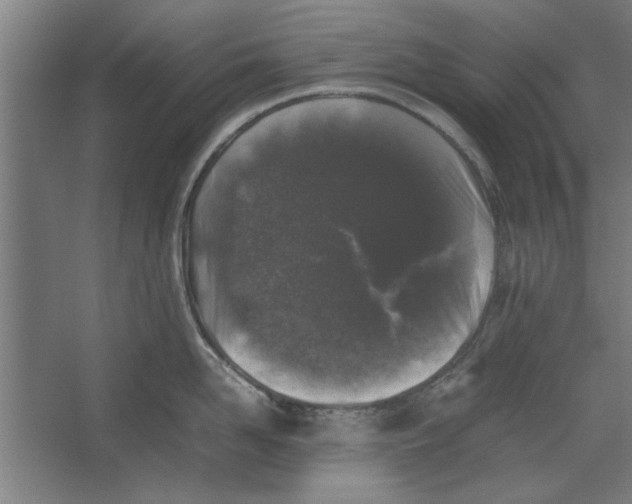 X0000062170958200512301642