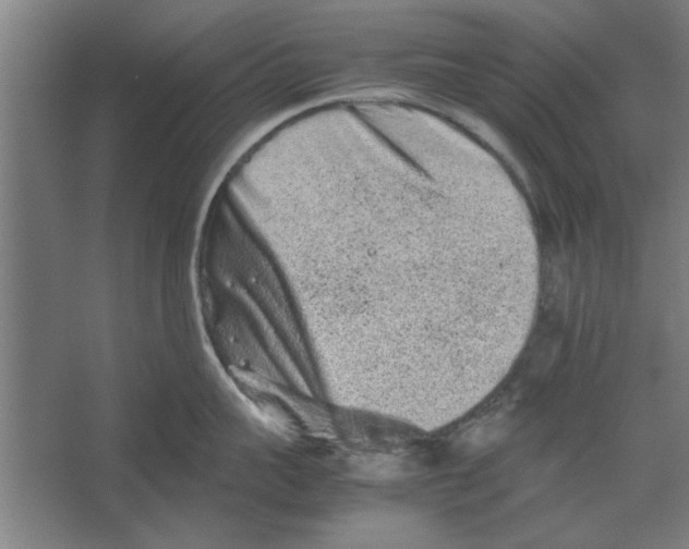 X0000062170959200512301642