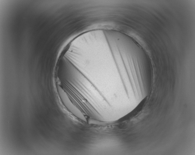 X0000062170960200512301642