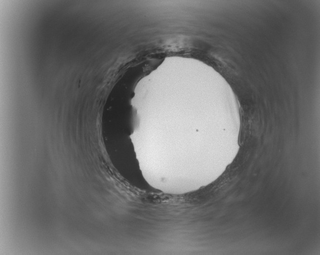 X0000062170961200512301641