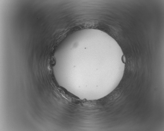 X0000062170962200512301641