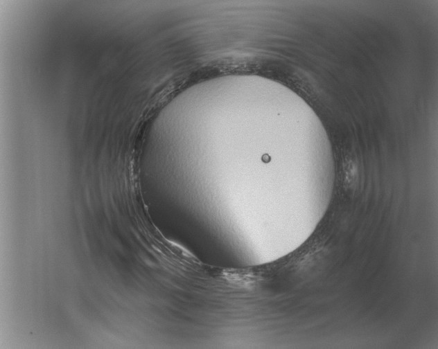 X0000062170964200512301641