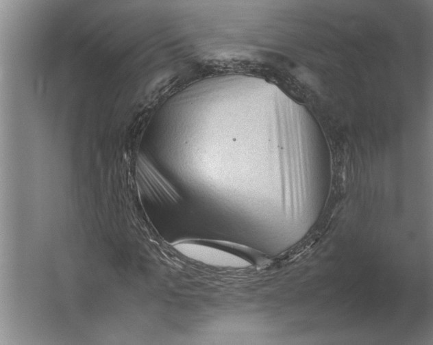 X0000062170965200512301641