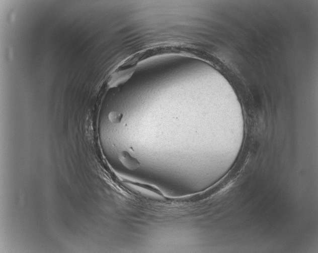 X0000062170969200512301641