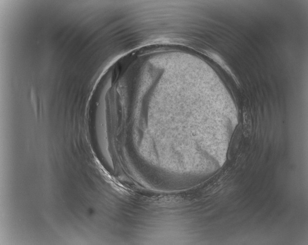 X0000062170972200512301641