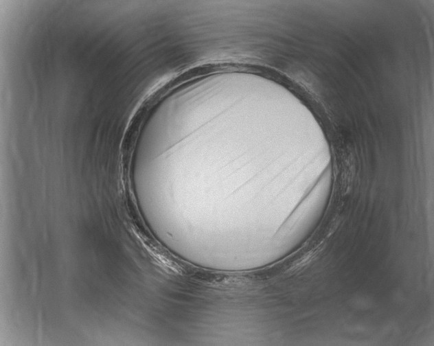 X0000062170974200512301641