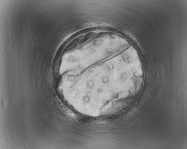 X0000062170975200512301641