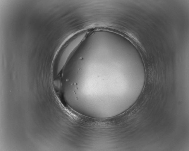 X0000062170976200512301641