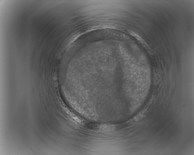 X0000062170977200512301641