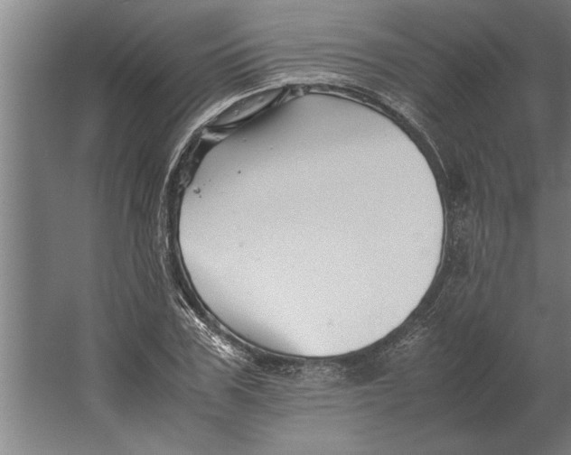 X0000062170979200512301641