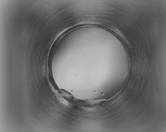 X0000062170980200512301641