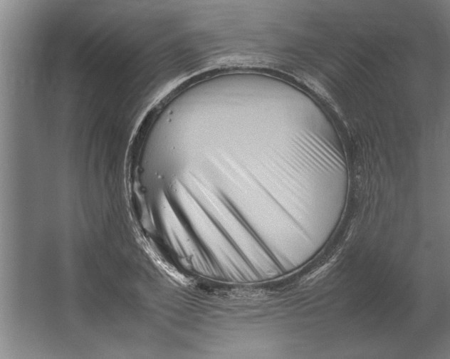 X0000062170981200512301641