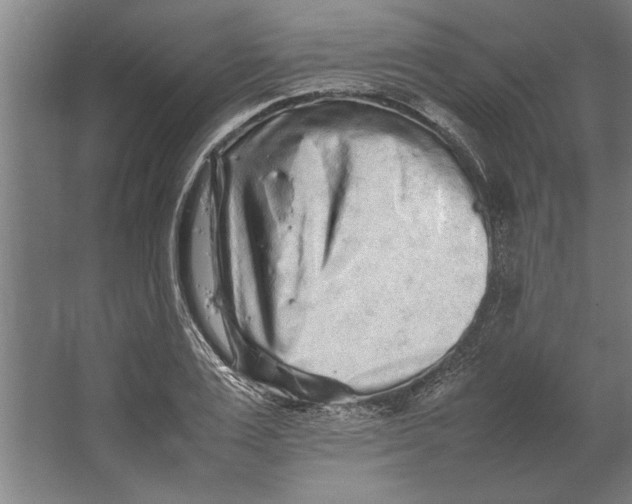 X0000062170983200512301641