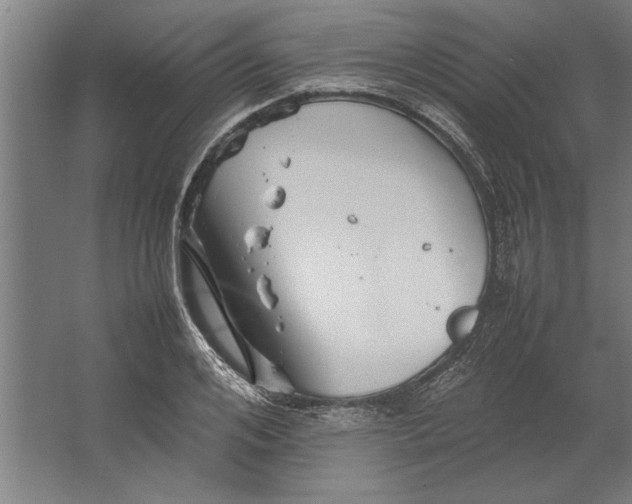 X0000062170984200512301641