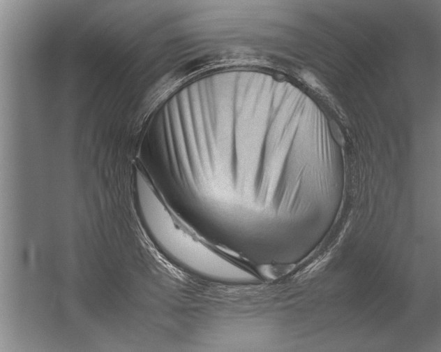 X0000062170985200512301641