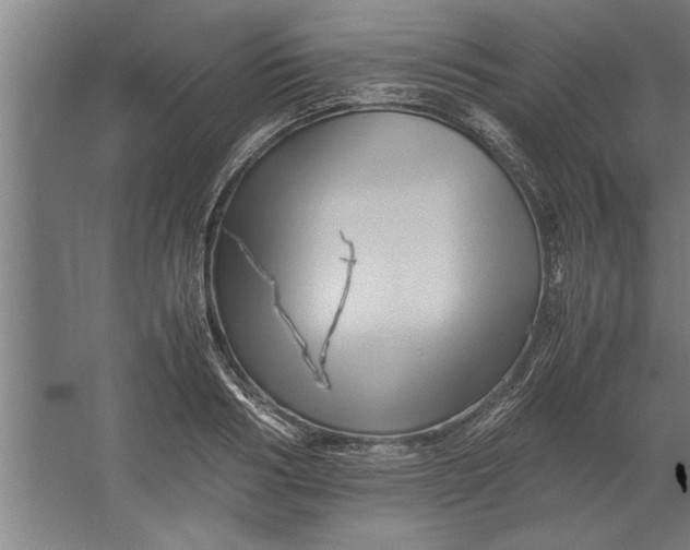 X0000062170986200512301641