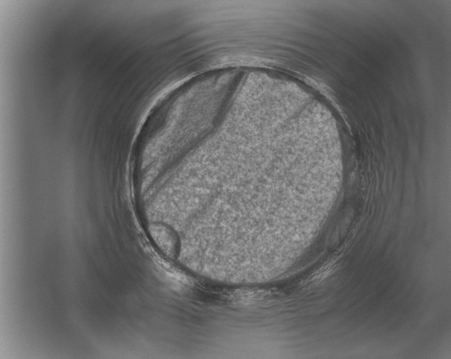 X0000062170987200512301641