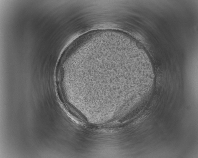 X0000062170990200512301640