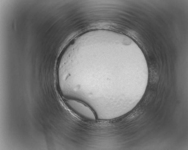 X0000062170994200512301640