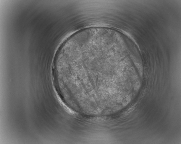 X0000062170995200512301640