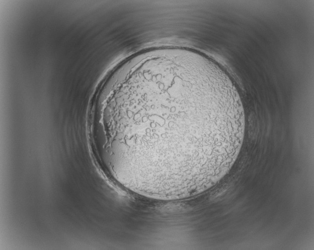 X0000062170998200512301640