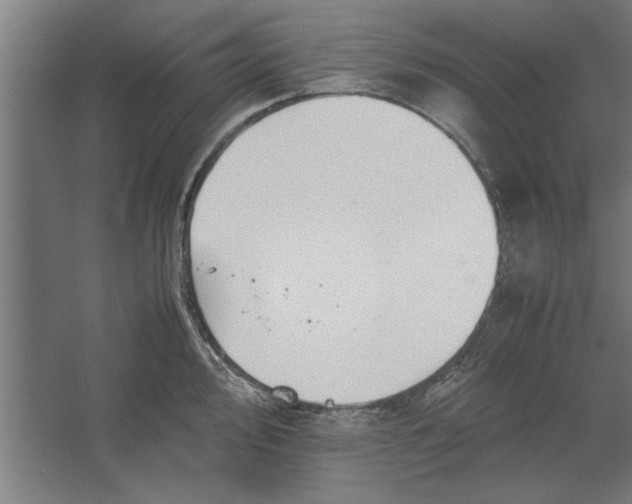 X0000062171000200512301640