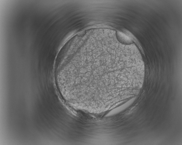 X0000062171002200512301640