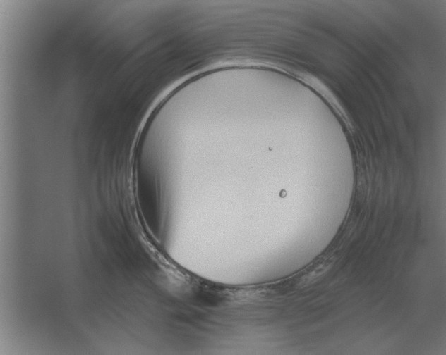 X0000062171004200512301640