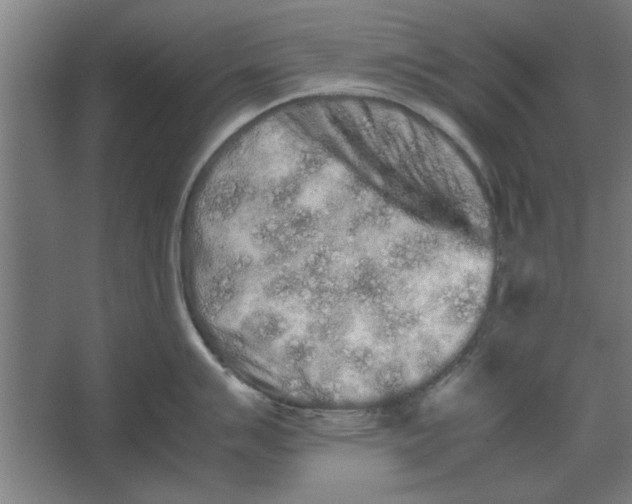 X0000062171007200512301640