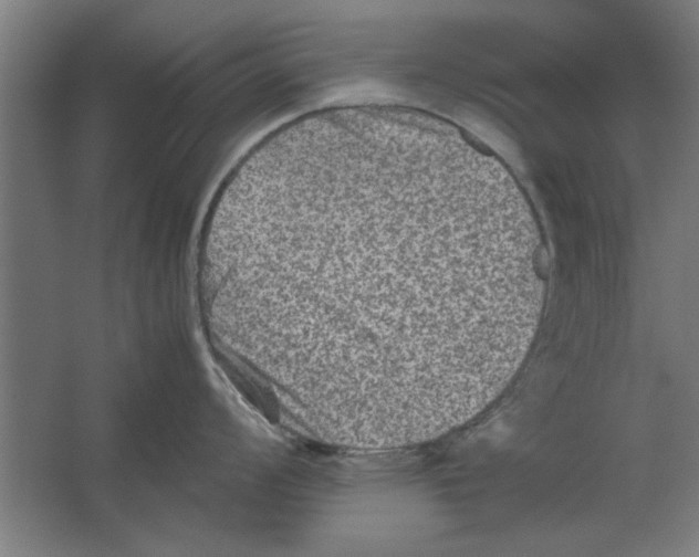 X0000062171008200512301640