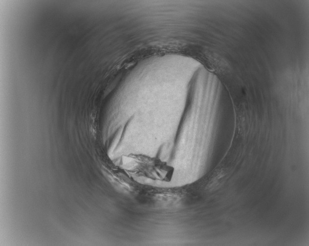 X0000062171010200512301639