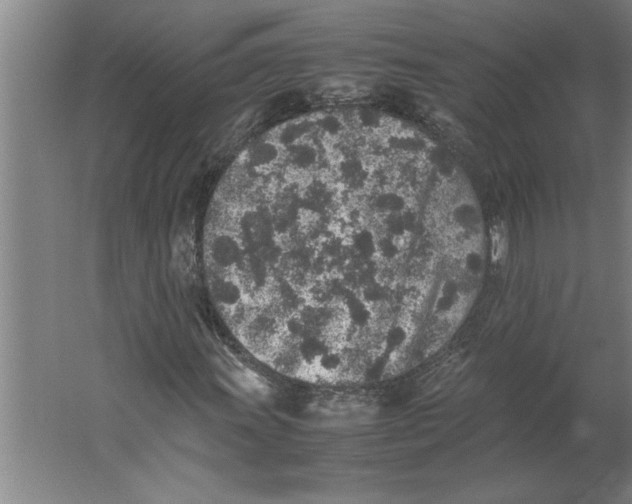 X0000062171011200512301639