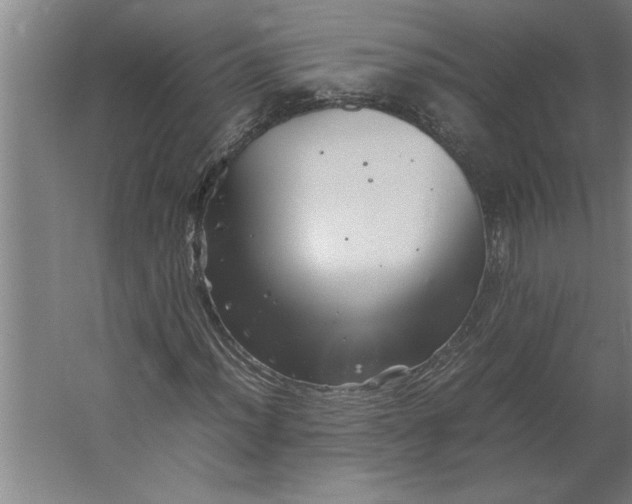 X0000062171012200512301639