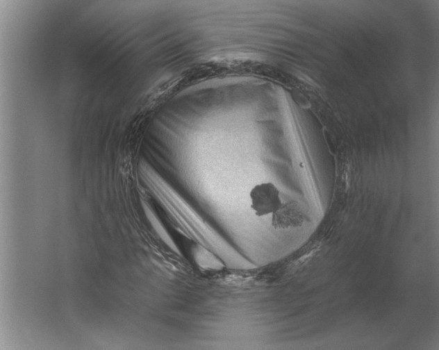 X0000062171014200512301639