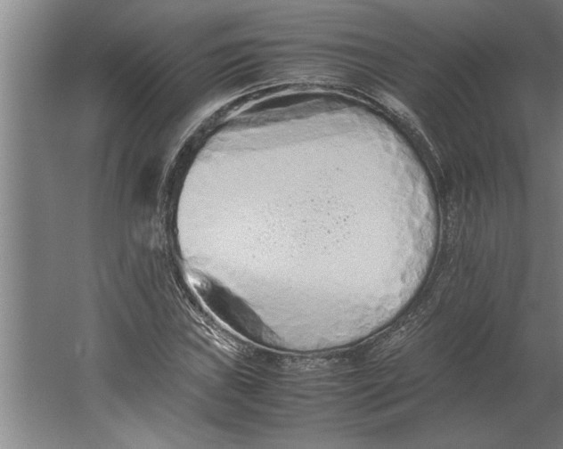 X0000062171019200512301640