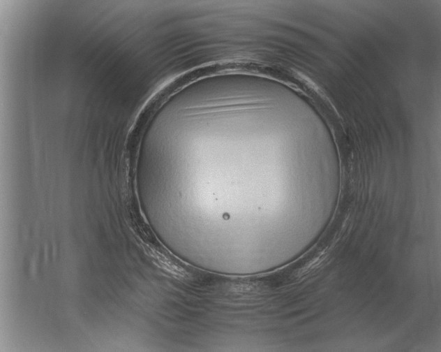 X0000062171021200512301640