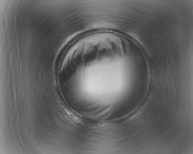 X0000062171022200512301640