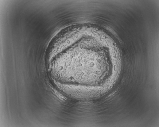 X0000062171023200512301640