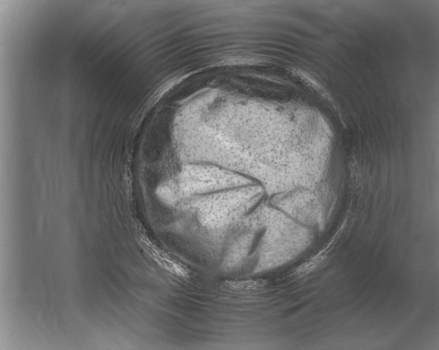 X0000062171025200512301640