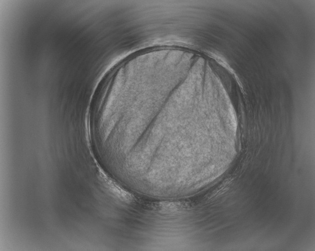 X0000062171032200512301640