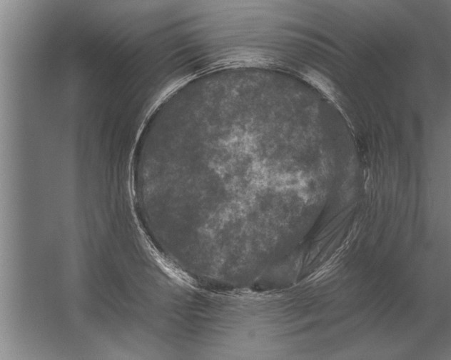 X0000062171034200512301640