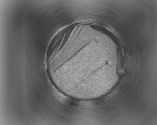 X0000062171036200512301640