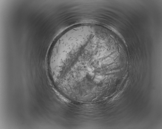 X0000062171037200512301640