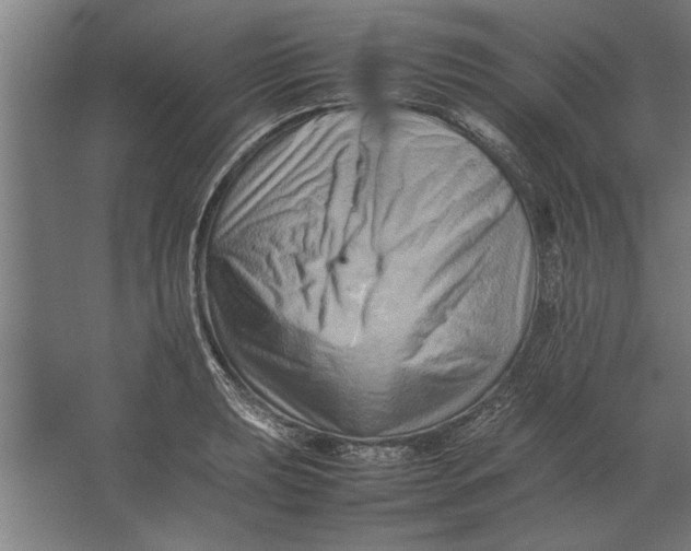 X0000062171039200512301640