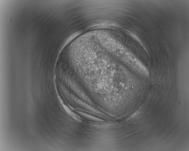 X0000062171042200512301640