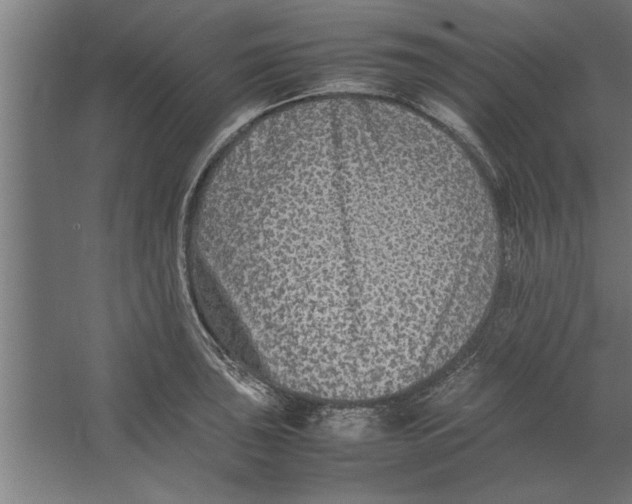 X0000062171043200512301640