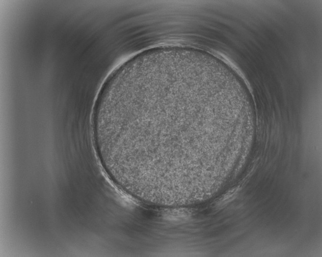 X0000062171045200512301640