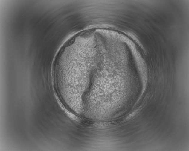 X0000062171046200512301640